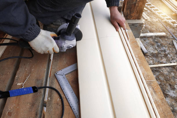 Affordable Siding Repair and Maintenance Services in Ham Lake, MN